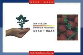 品質標語 價格 面議 臺 上海盛興企業文化用品公司 價格庫